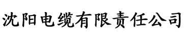 光绪中华电缆厂logo